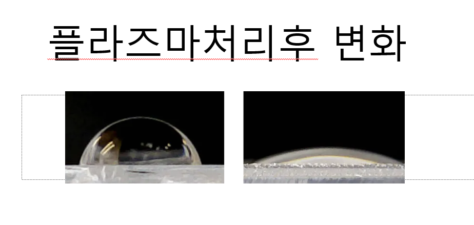  Explain the characteristics of salmon in humanities