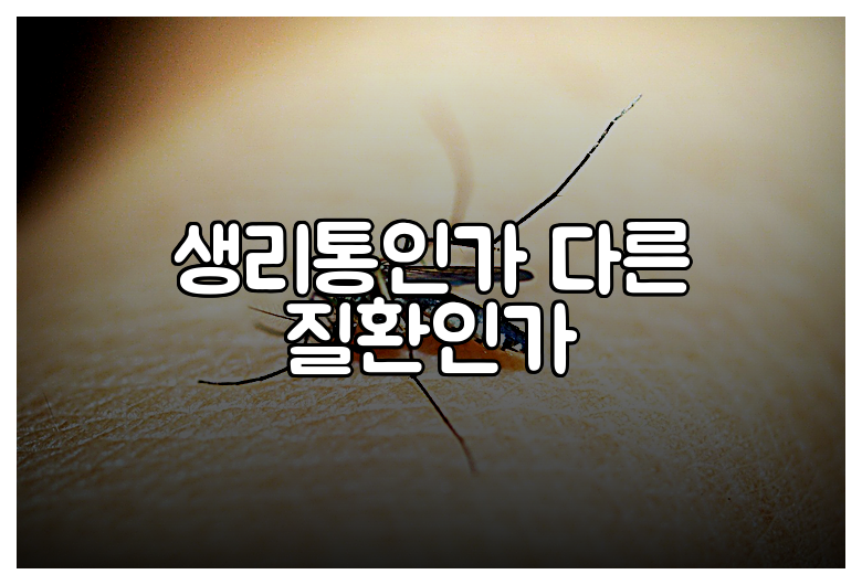 생리통인가 다른 질환인가