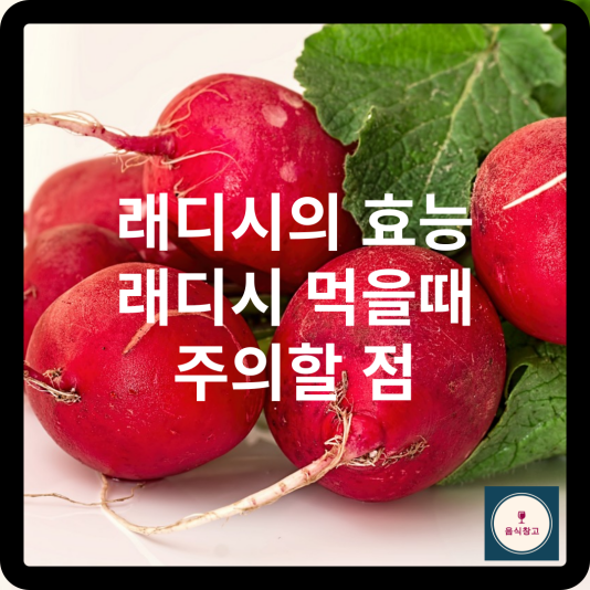 래디시-썸네일