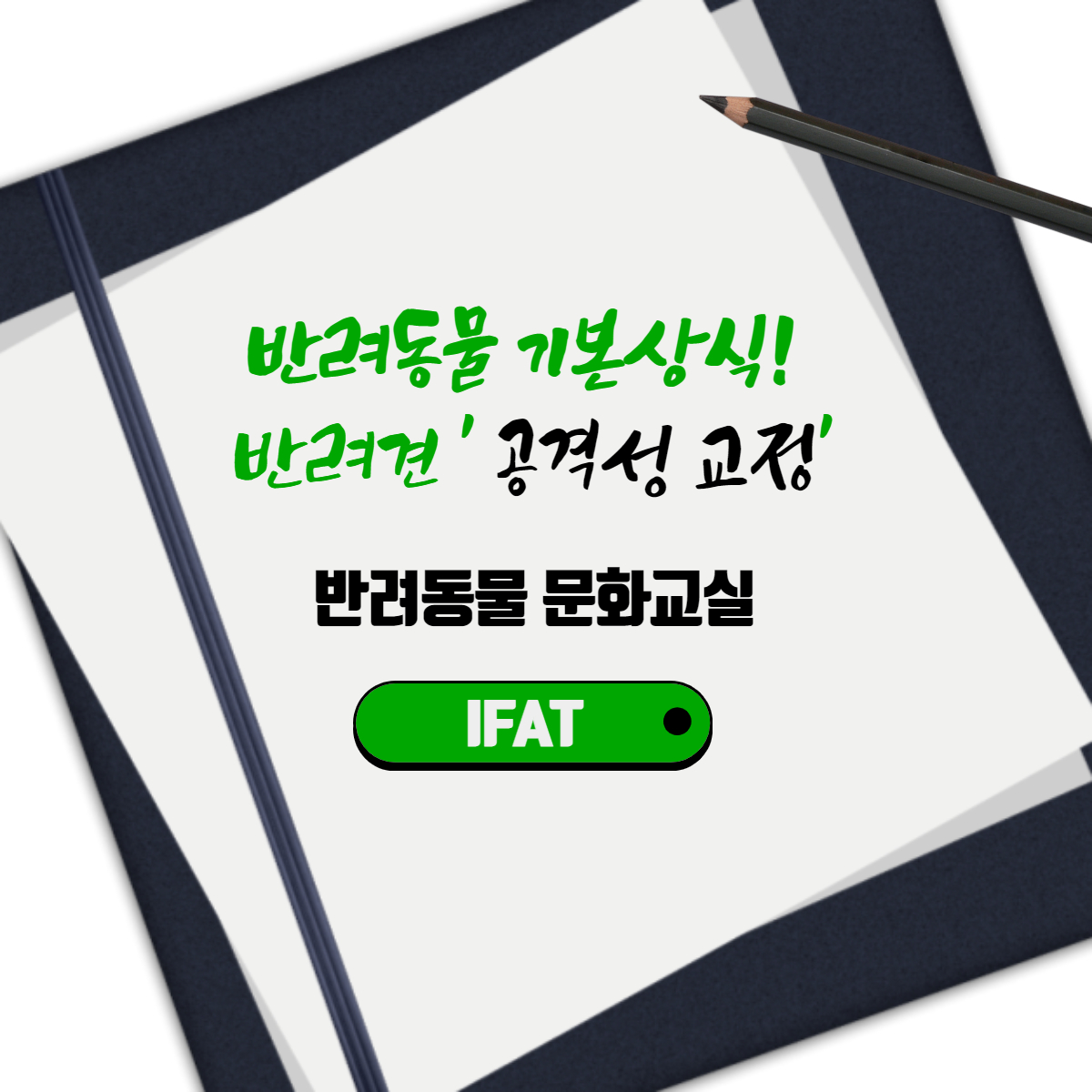 반려동물 기본상식! 반려견 '공격성 교정'