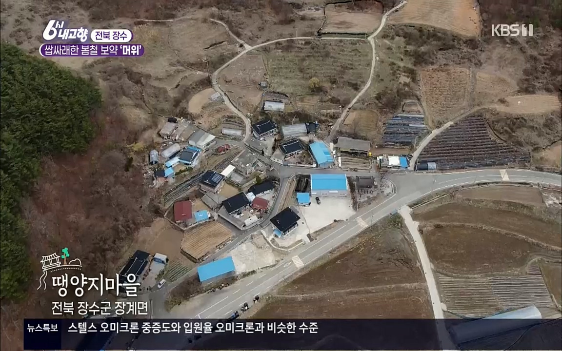 6시 내고향.E7506.220408p.H264-F1RST.mp4_20220412_183222.588.jpg