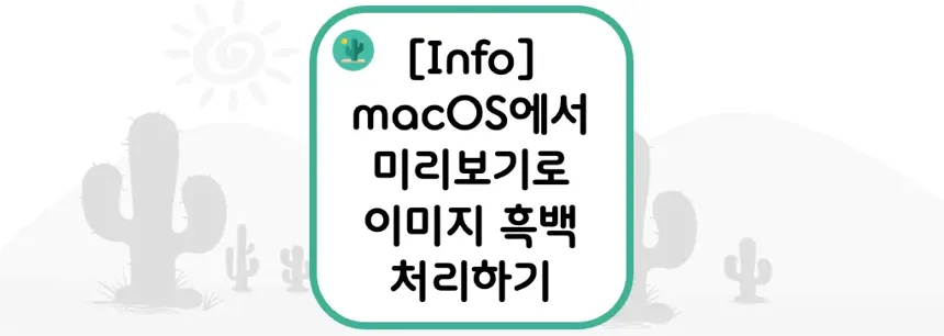 [Info] macOS에서 미리보기로 이미지 흑백 처리하기