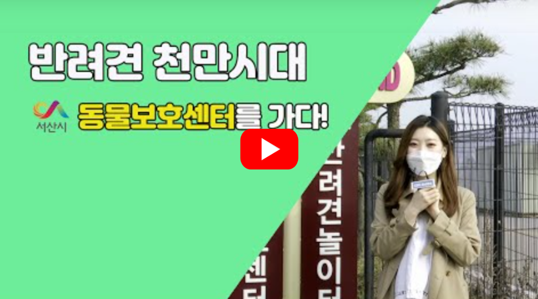 포스팅 썸네일 이미지