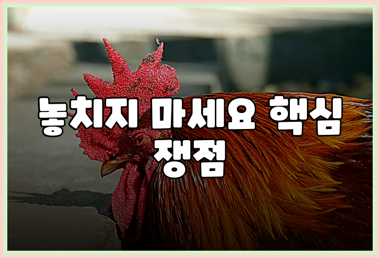 놓치지 마세요 핵심 쟁점