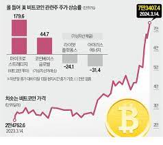  가상화폐 투자 전략 코인종류별 분석과 전망