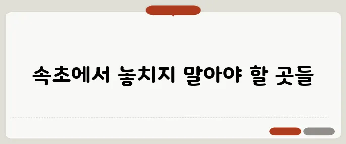 속초 가볼만한곳 인생사진 명소 총정리!