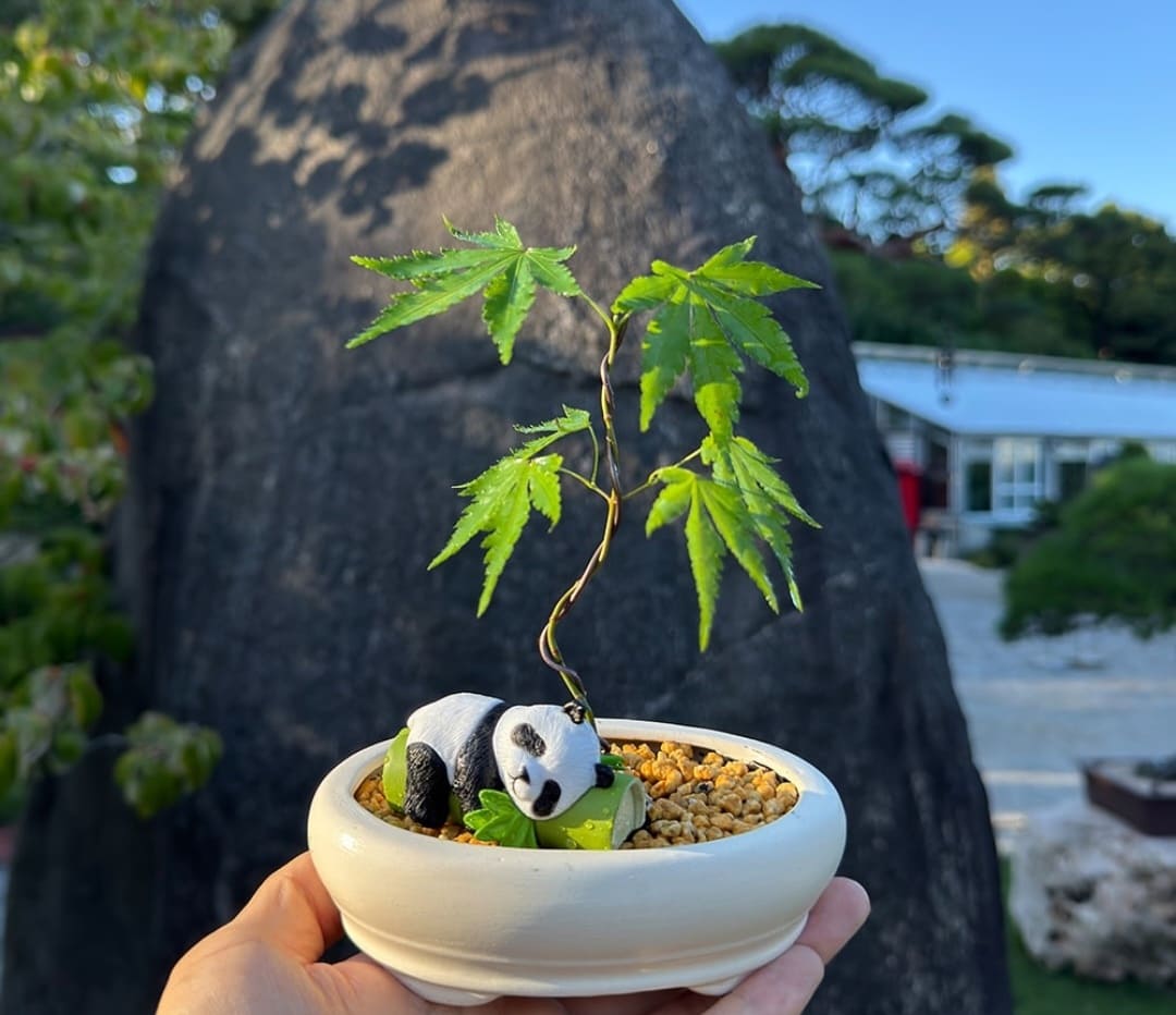 광양매화축제 주차장&amp;#44; 맛집&amp;#44; 입장료