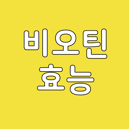  비오틴 효능