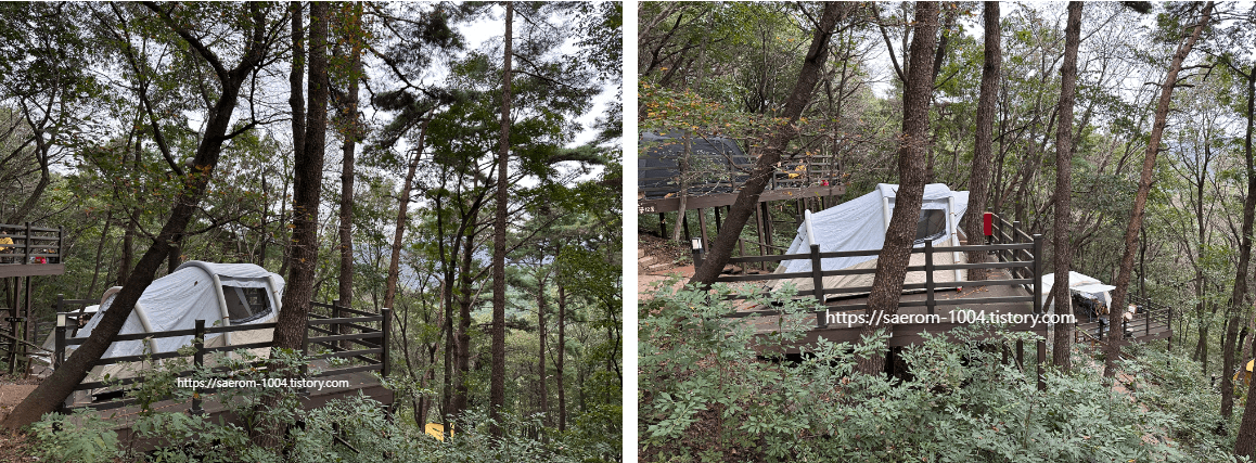 신어산 자연숲 캠핑장 꽃10동