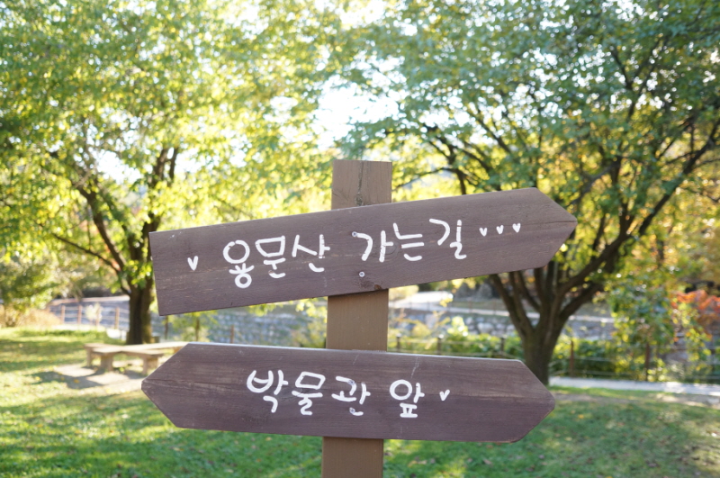 가을-용문산