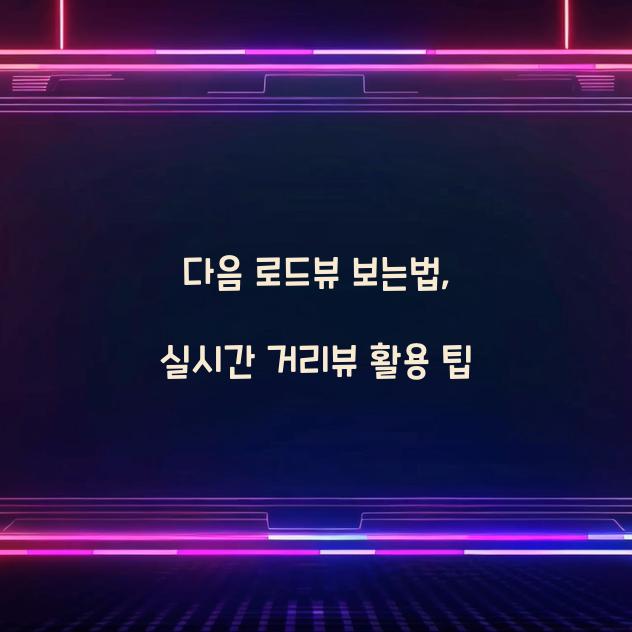 다음 로드뷰 보는법