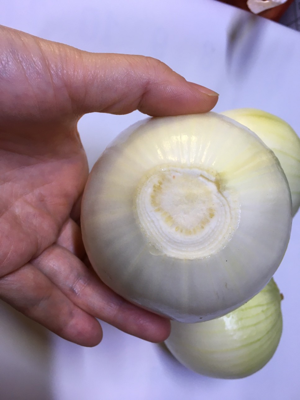 신미 업소용 양파 20kg 15kg 5kg 2kg 껍질을 벗긴 양파 6