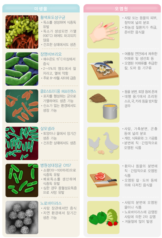 식중독 증상&amp;#44; 자가진단&amp;#44; 증상완화방법&amp;#44; 원인과 예방법&amp;#44; 치료법