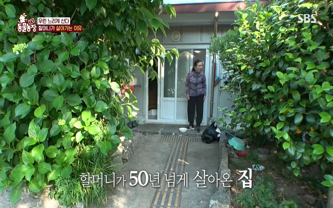 TV 동물농장.E1076.220704p.H264-F1RST.mp4_20220703_175609.011.jpg