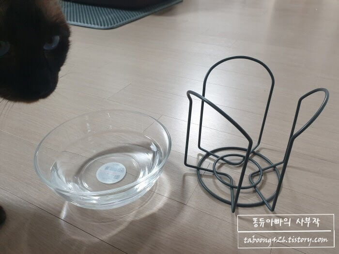 다이소 고양이 물그릇