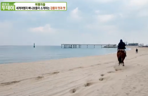 주마강산승마클럽