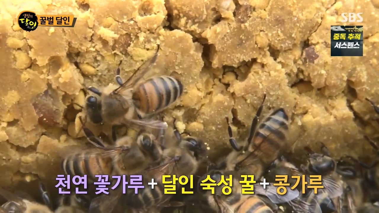 생활의 달인.E937.240528p-NEXT.mp4_20240528_194046.361.jpg