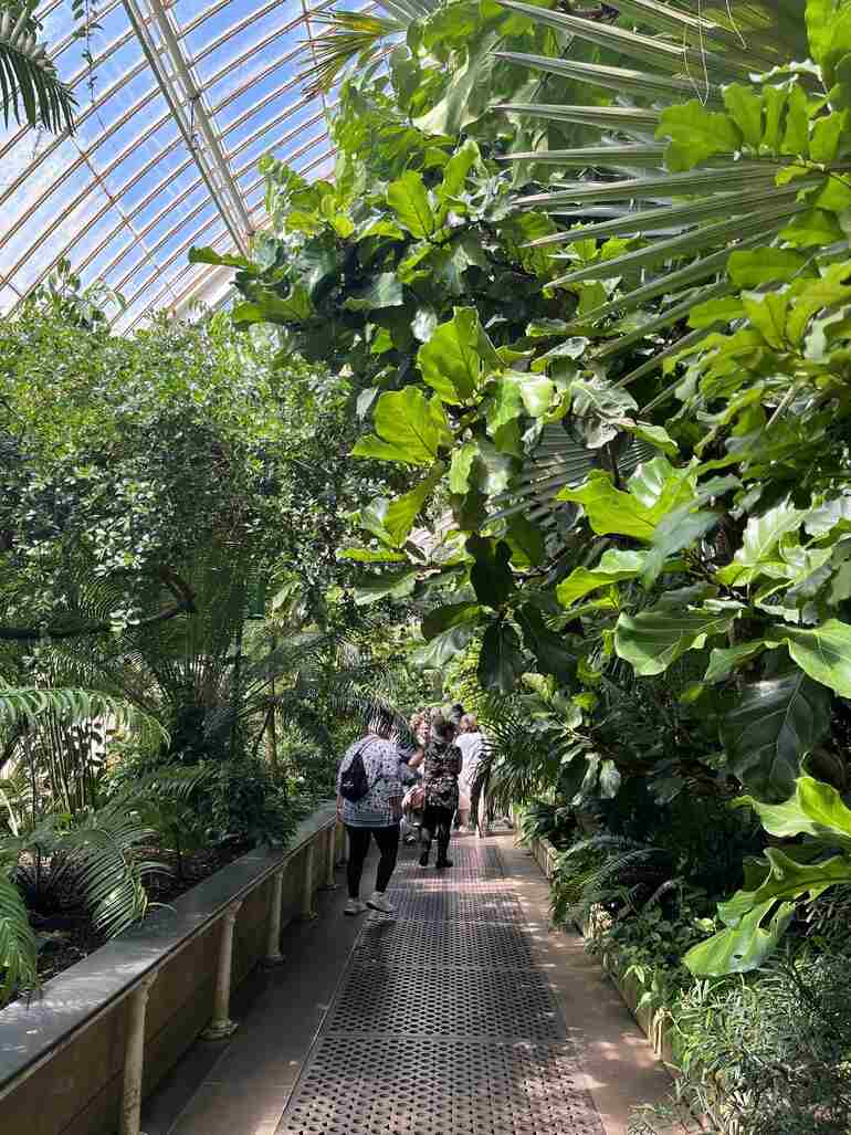큐가든-실내-식물원