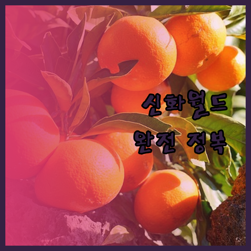 제주 신화월드 호텔 완전 정복 가족 