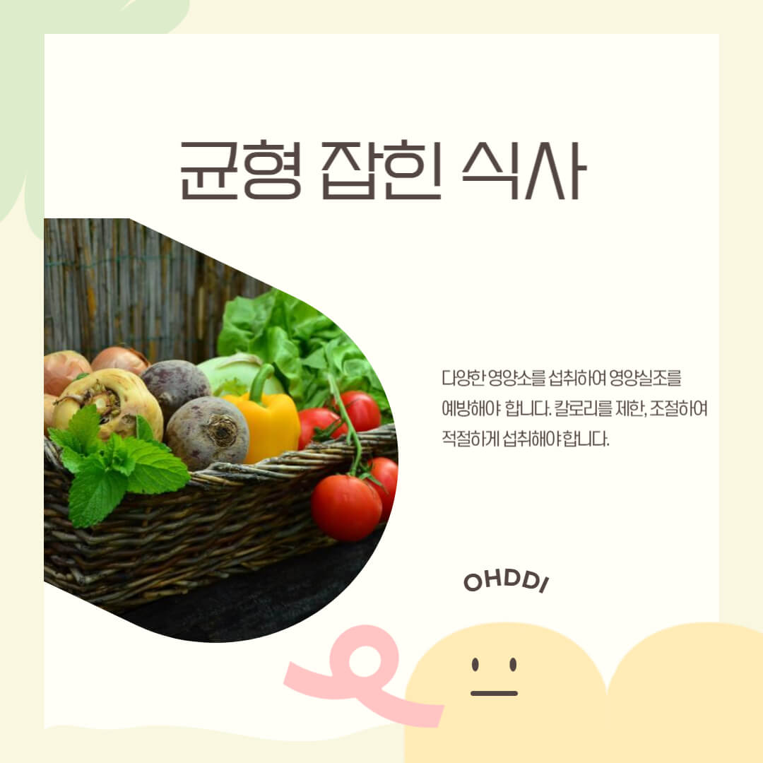 균형-잡힌-식사에-대한-설명