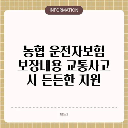농협 운전자보험 보장내용 교통사고 시 든든한 지원