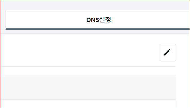 DNS 설정