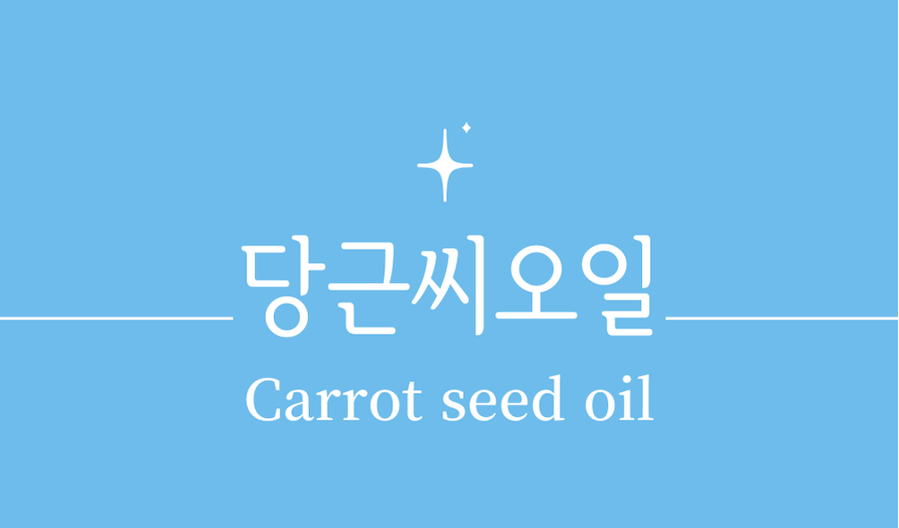 '당근씨오일(Carrot seed oil)'