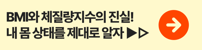 BMI와 체질량지수의 진실! 내 몸 상태를 제대로 알자
