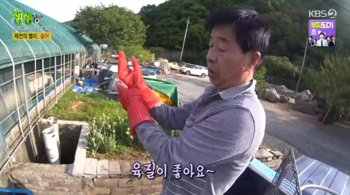 사장님