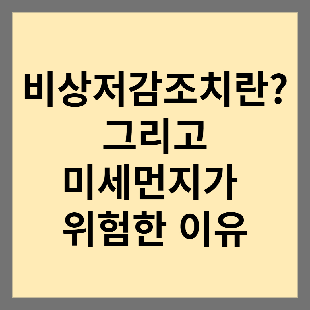 비상저감조치란