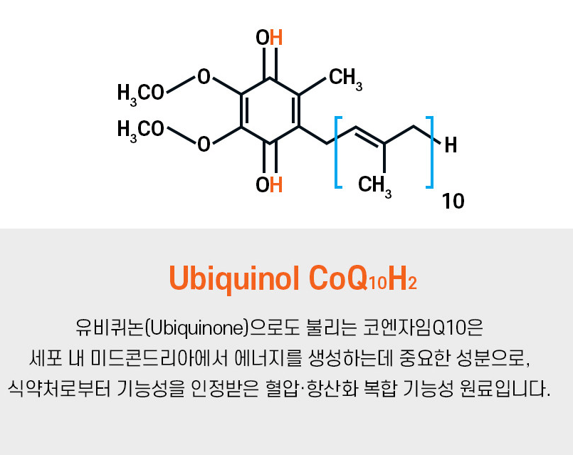 유비퀴논