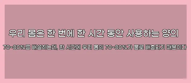  우리 몸은 한 번에 한 시간 동안 사용하는 양의 70~80%를 배설하는데, 한 시간에 우리 몸의 70~80%가 물로 배출되기 때문이다