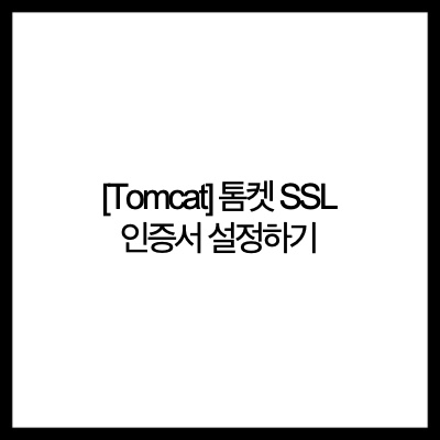  [Tomcat] 톰켓 SSL 인증서 설정하기