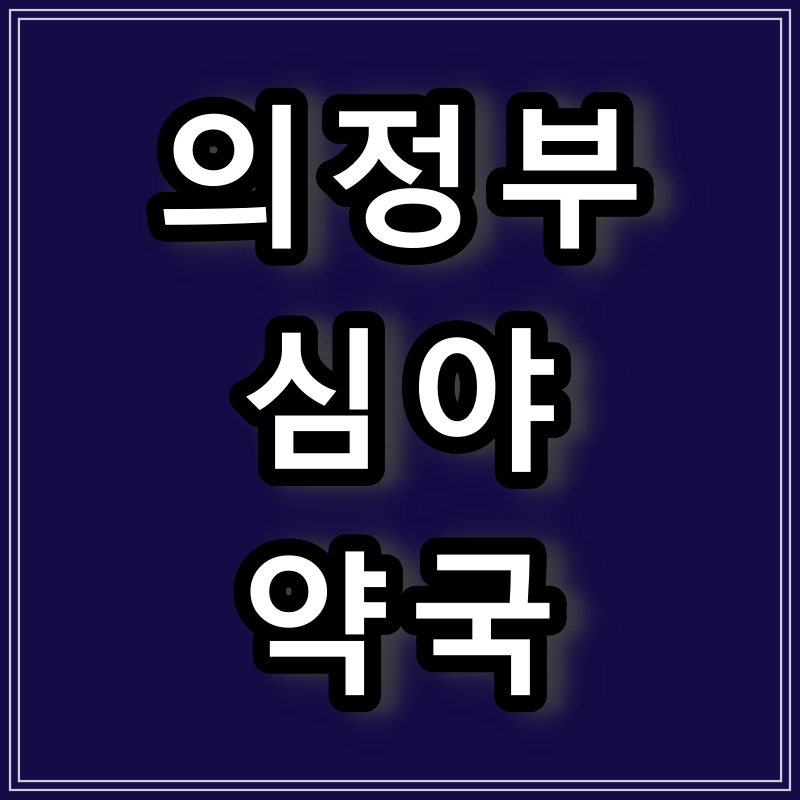  의정부시 밤 늦게까지 문 여는 약국
