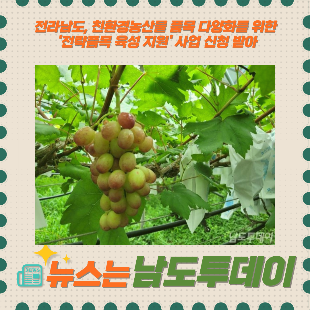  친환경농산물 다양화를 위한 전라남도의 새로운 사업, 참여자 모집 중-남도투데이