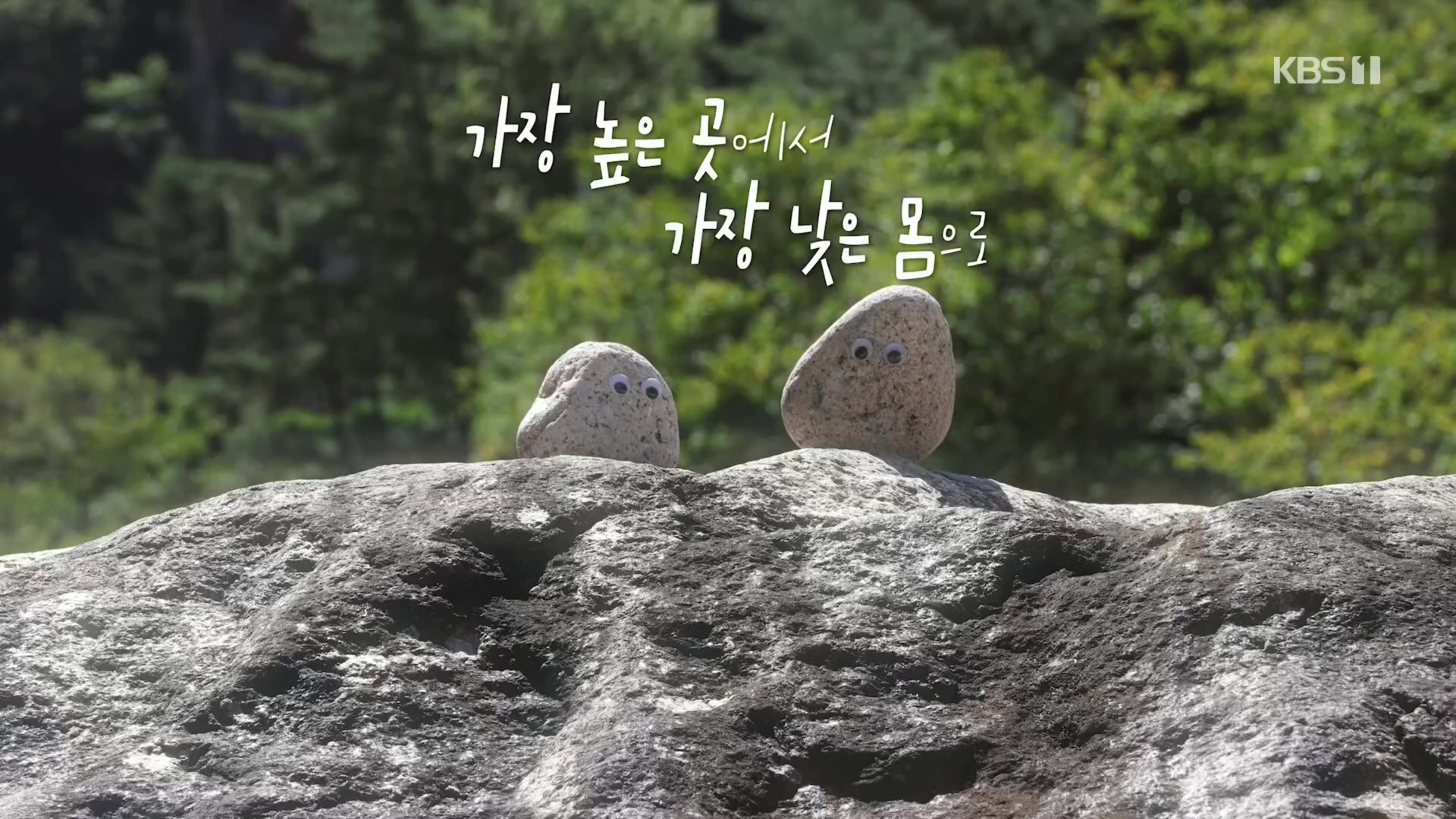 다큐 인사이트.E02.231215p.H264-F1RST.mp4_20231216_182610.432.jpg