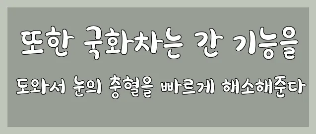  또한 국화차는 간 기능을 도와서 눈의 충혈을 빠르게 해소해준다