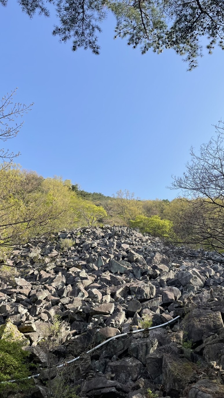비슬산