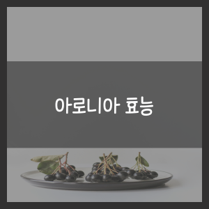 아로니아 효능