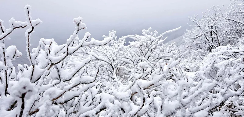 소백산 설경