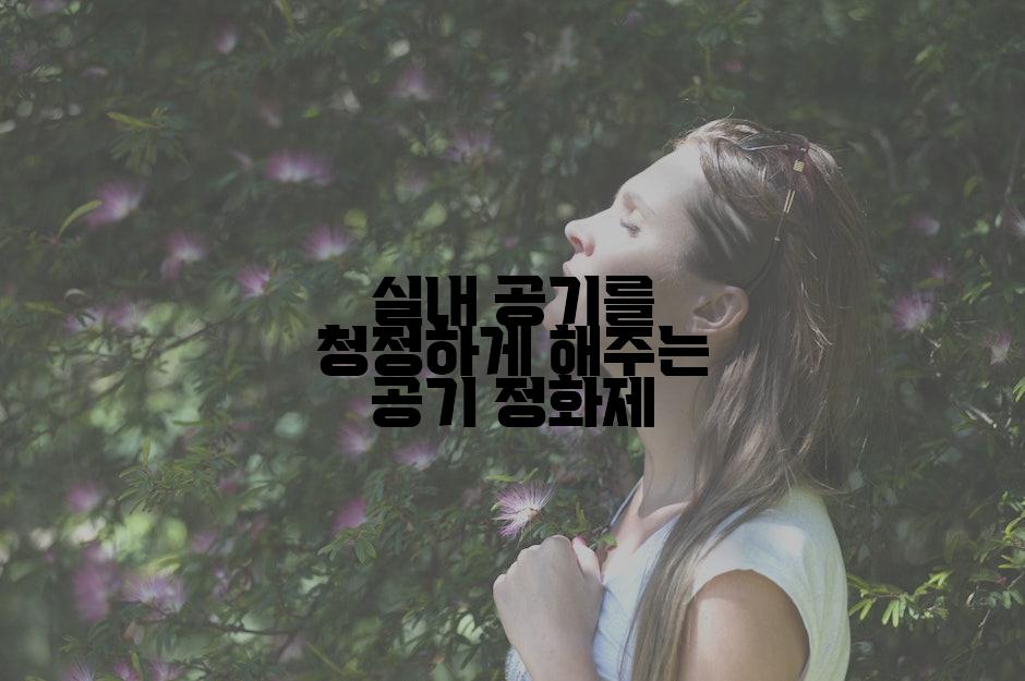 실내 공기를 청정하게 해주는 공기 정화제