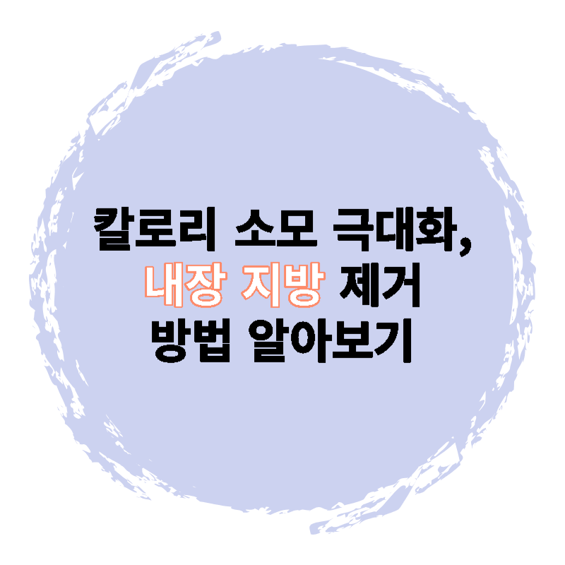  칼로리 소모 극대화, 내장 지방 제거를 위한 방법 알아보기