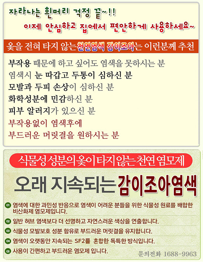 감이조아 이미지