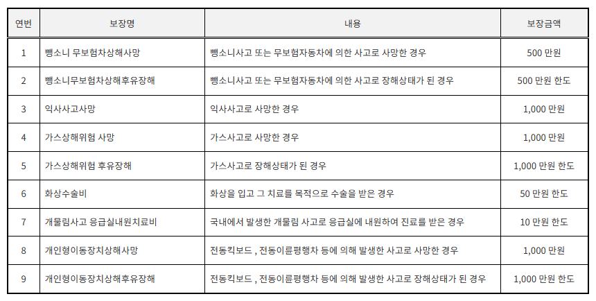 보장내용