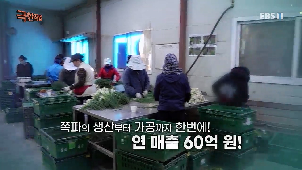 TV - 교육의 중심 EBS성공 스토리! 쪽파 재배와 과일 도매.mp4_20221209_201336.849.jpg