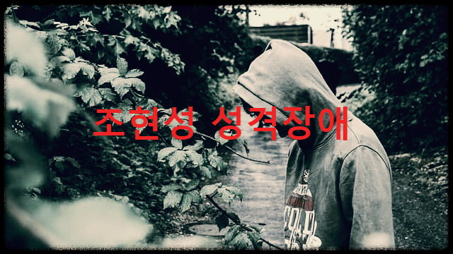  조현성 성격장애 : 혼자만의 세상에 빠진 채 세상과 단절되는 것을 선호하는 성격장애