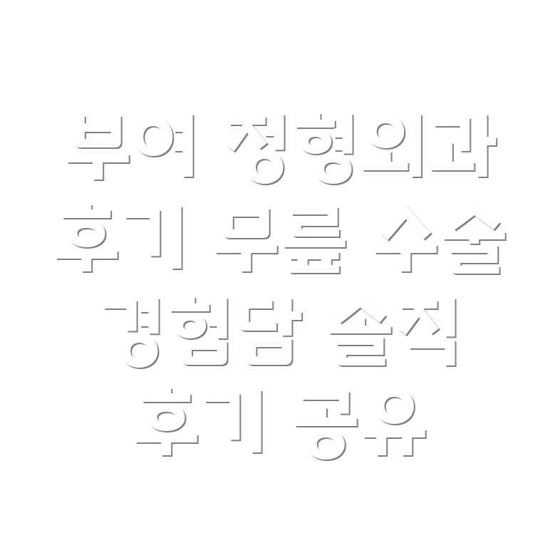 부여군 홍산면 무릎수술