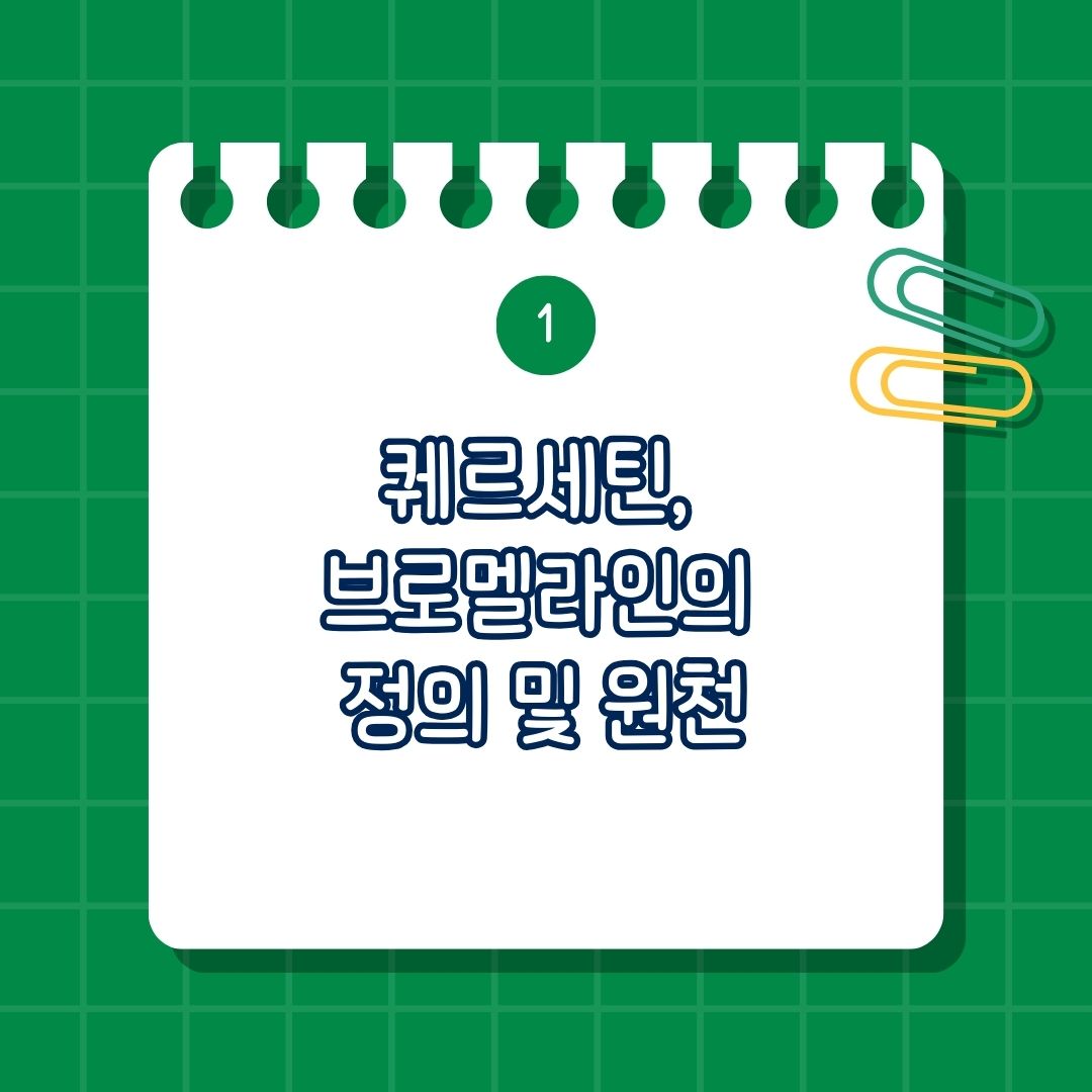 퀘르세틴(Quitertin) 브로멜라인(Bromelain), 퀘르세틴 브로멜라인 비교, 퀘르세틴 브로멜라인 정의 및 원천