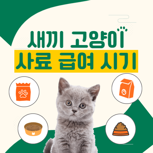 고양이사료