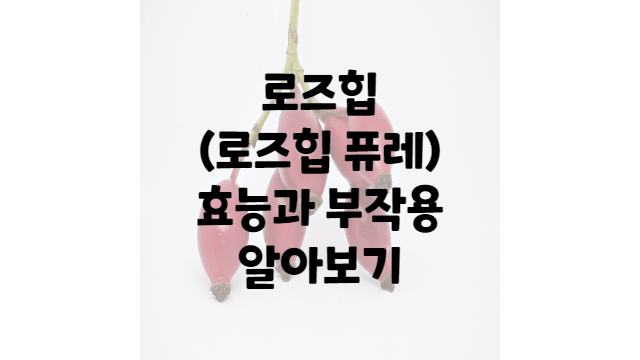  로즈힙 퓨레 효능과 부작용 알아보기(로즈힙)